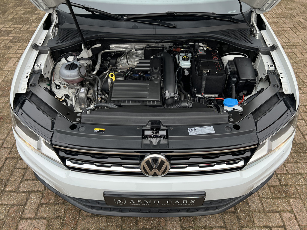 50986037-36.jpg