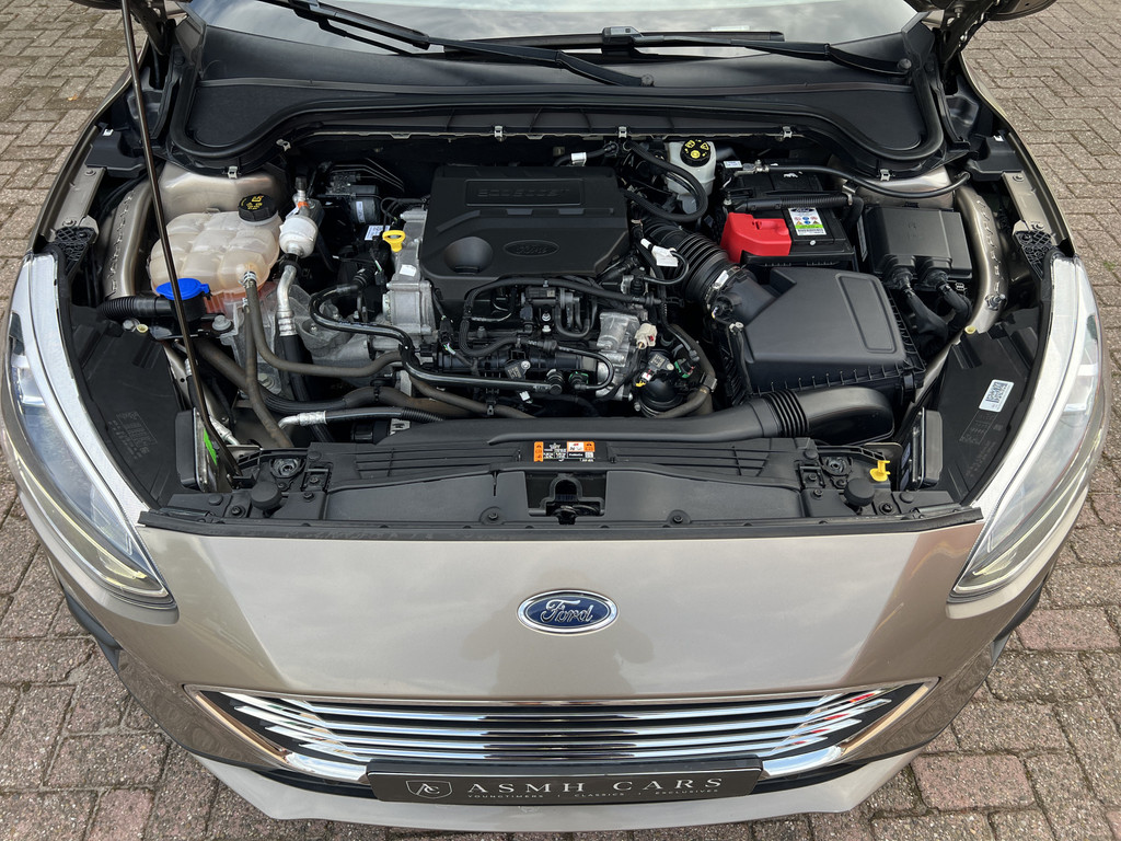 55358024-42.jpg