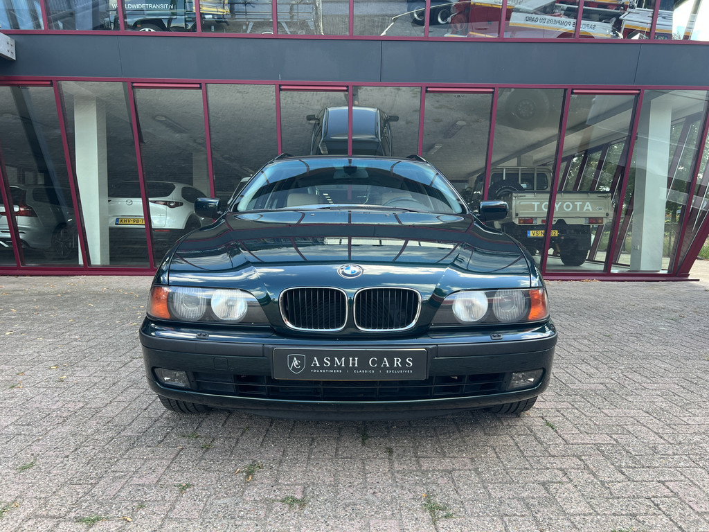 55500537-1.jpg