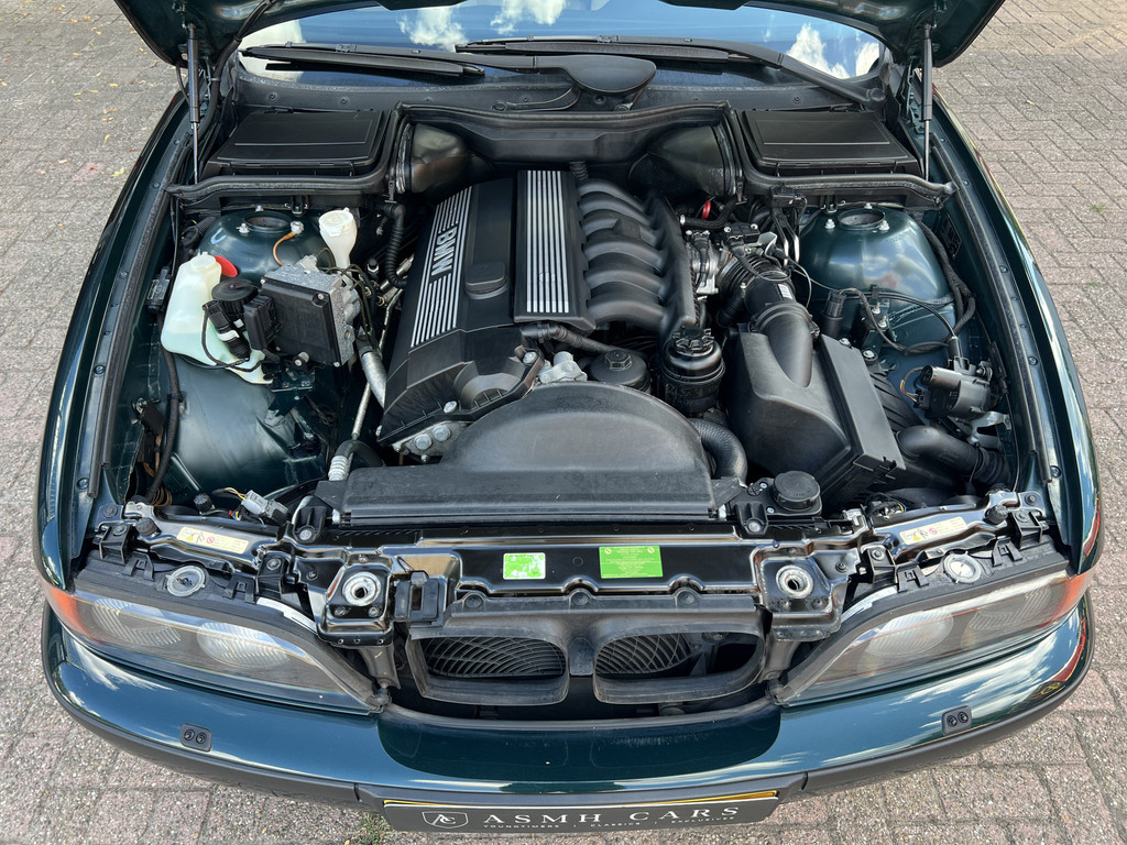 55500537-43.jpg