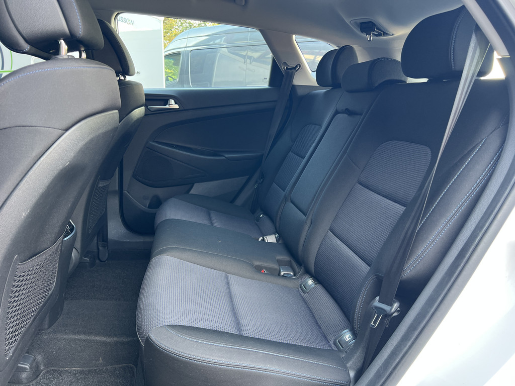 57041726-17.jpg