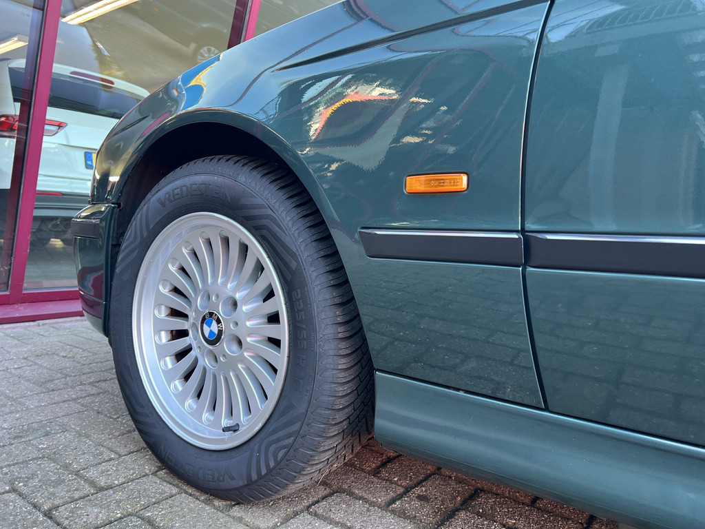 57365909-7.jpg
